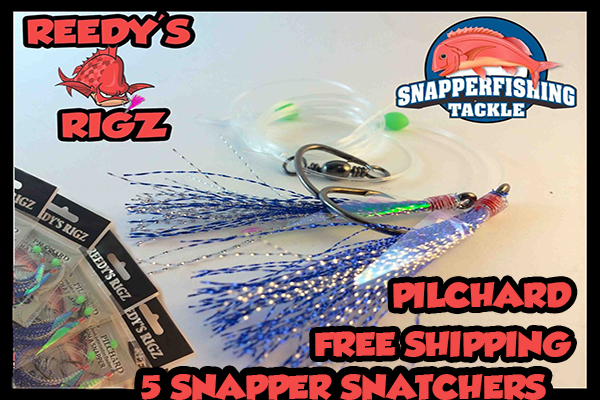 snapper fishing tackle