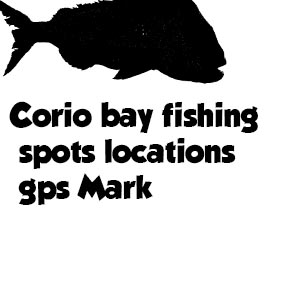 snapper gps marks port phillip bay, gps marks geelong,gps mark corio bay,gps mark melbourne,