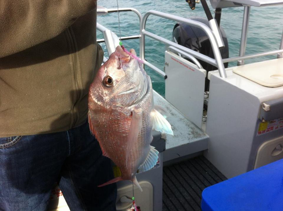 Snapper Snatchers Fishing Pre-Tied For Big Red ( Flasher Rigs)