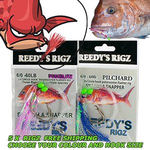 snapper rigs , snapper tips,snapper snatchers, flasher rig,best rig , snapper,early season snapper