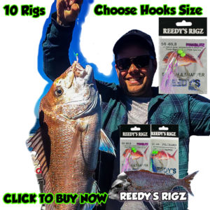 snapper snatchers , fishing rigs , whitting rig , best snapper rig