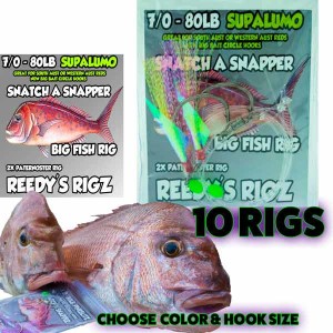 perth snapper, w.a snapper , charter fishing perth , snapper rig w.a , perth snapper