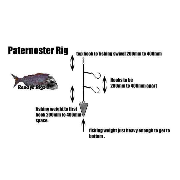 Diagram Paternoster Rig Fishing Rigs Snapper Bottom Dropper