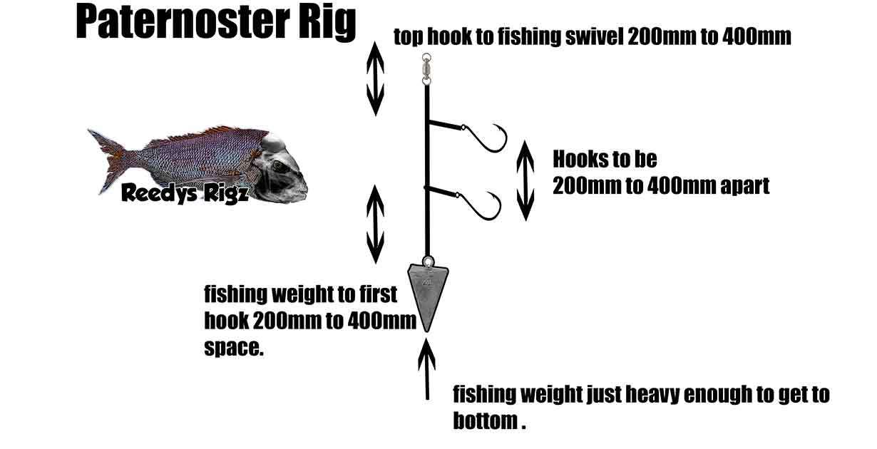 Diagram Paternoster Rig Fishing Rigs Snapper Bottom Dropper