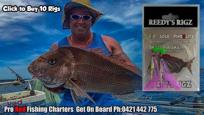 reedy's rigz, flasher rig,snapper snatcher, fishing rigs, Pre tied fishing rig,snapper,pro red fishing charters