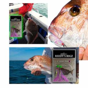 Snapper Snatchers Fishing Rigs In The Surf Paternoster Lure Rig