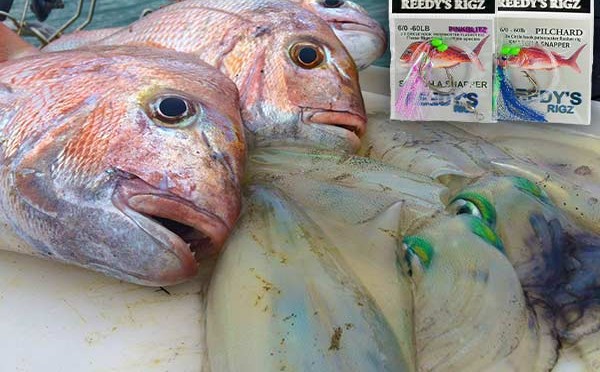 flasher rigs, snapper snatchers