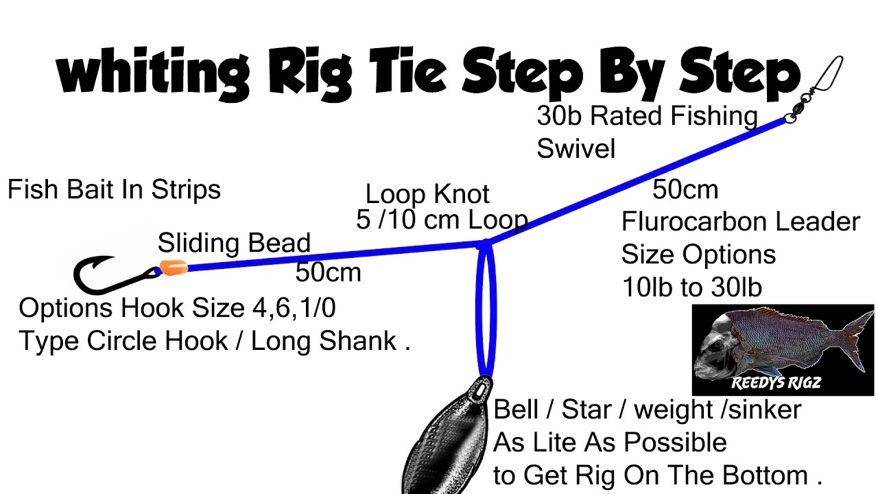 Whiting Rig Fishing Rigs Pre Tie Tutorial Step by Step Rigging whiting fish diagram 