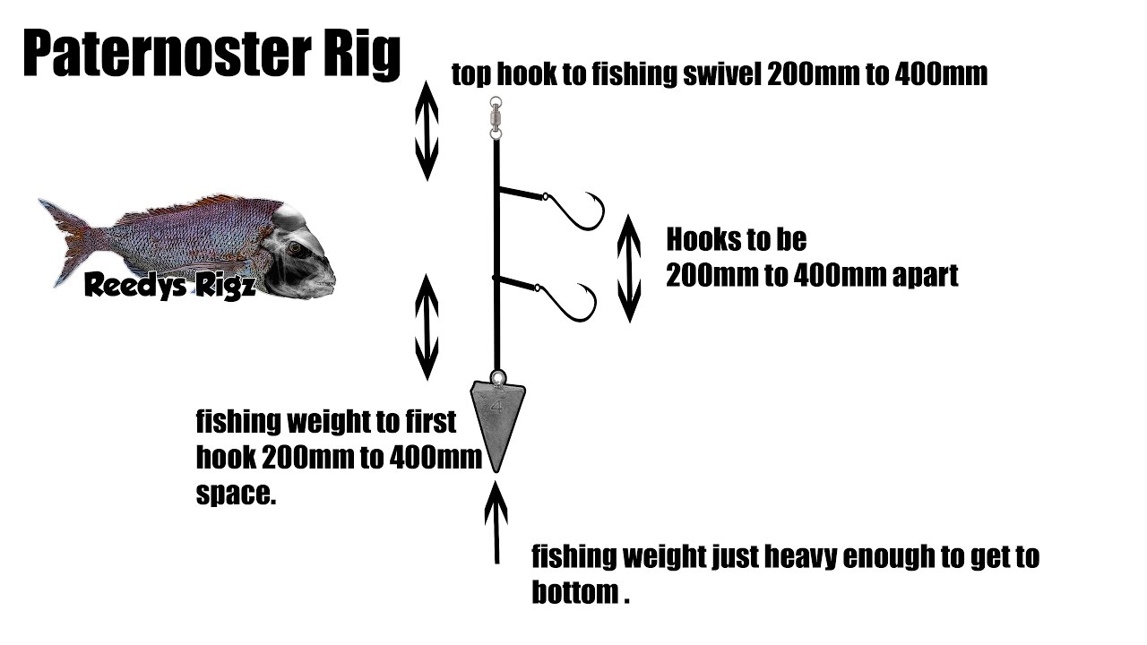 Tie Paternoster Rig Easy Diagram Fishing Rigs Diy Snapper ... whiting fish diagram 