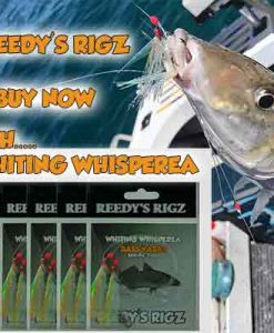 whiting Rig , Fishing , Snapper snatcher , Reedy's Rigz