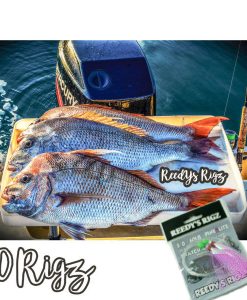 ebay, snapper rigs , fishing tackle ebay snapper rigs , cheap tackle