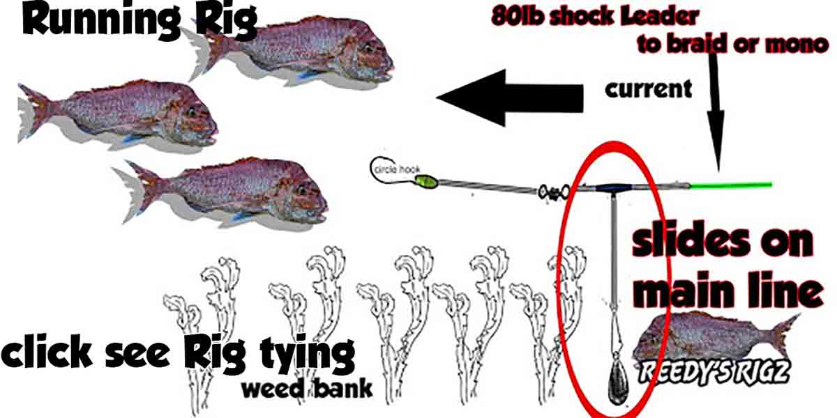 fishing rig tying , running rig , diagram fishing rig