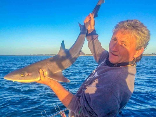 gummy shark rig, snapper fishing tackle