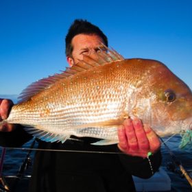 snapper rigs, snapper , fishing, tackle,fishing knots, braind to mono,reedys blog,fishing line,knots