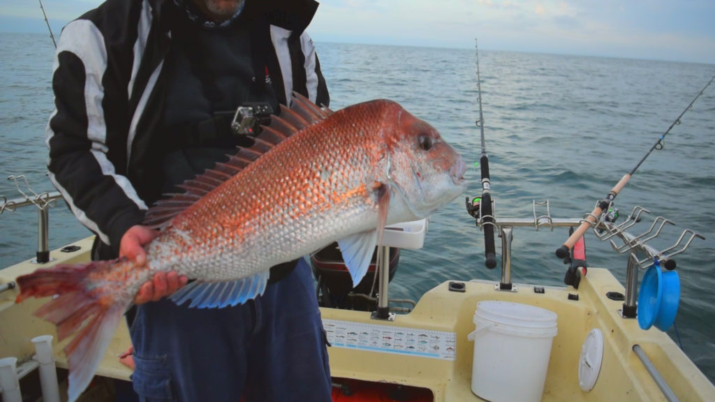 Snapper Fishing Tackle