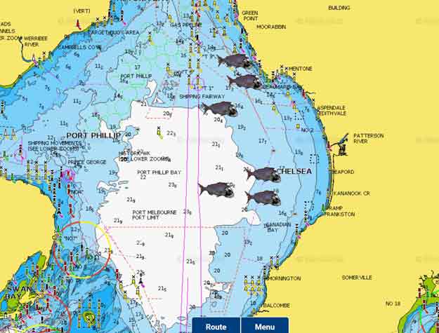 fishing report , snapper report port phillip bay, fishing ,snapper season , spots ,gps marks , melbourne snapper