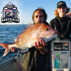 Snapper Snatchers , Reedy's Rigz , Magic Rigs , Fishing Rigs Snapper, best snapper rig