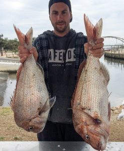 snapper, bay snapper fishing snapper fishing tackle , fishing rigs , snapper snatchers ,